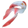 時(shí)尚兩元店絲巾/小魚(yú)兒薄絲巾方巾